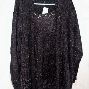 Briggs New York Black Shimmer Blouse